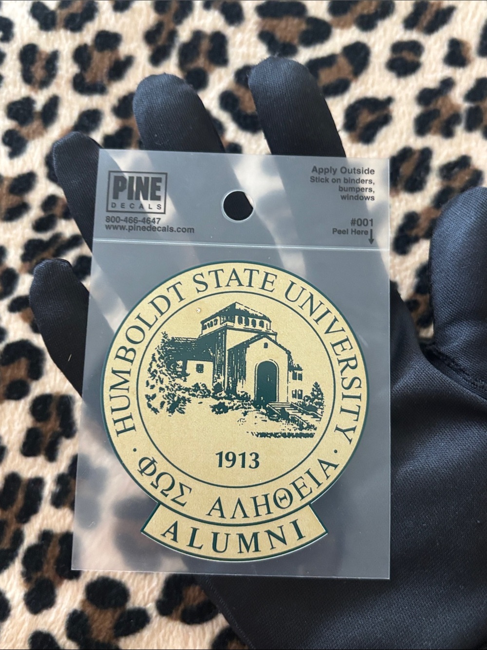 HUMBOLDT STATE UNIVERSITY 🌲 Alumni Gold Sticker Decal College California NorCal - Picture 9 of 9